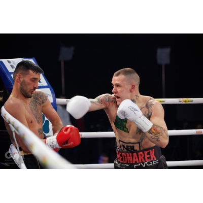 Boxovací rukavice WOLF WHITE L