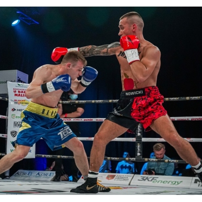 Boxerské rukavice WOLF RED L