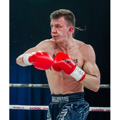 Boxerské rukavice WOLF WHITE V