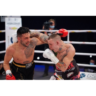 Manusi de box WOLF WHITE V