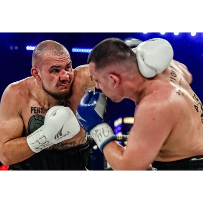 Boxhandschuhe WOLF WHITE V