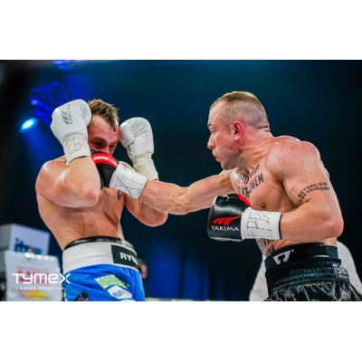 Boxhandschuhe WOLF BLACK V