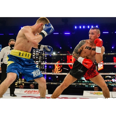 Boxing Gloves WOLF BLUE V