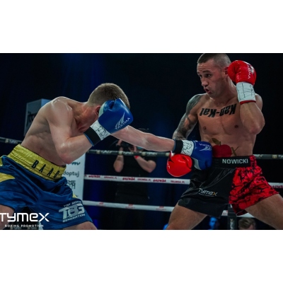 Manusi de box WOLF BLUE V