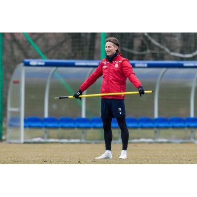 Lazdos galas su spyruokle