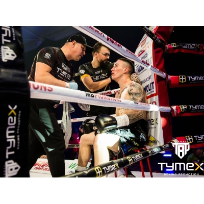 Boxerské rukavice TIGER GOLD / BLACK L