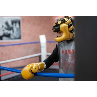 Boxerské rukavice TIGER GOLD / BLACK L