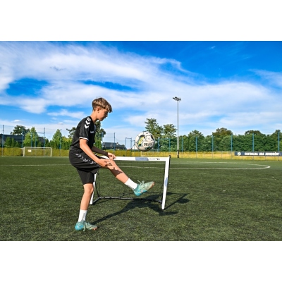 Ворота Flex 120см х 80см