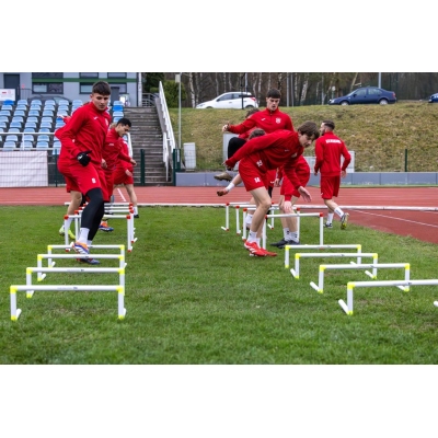 PRO 20cm coordination hurdle/ hurdles