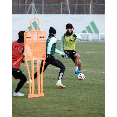 Fotbal de perete PRO 180 cm