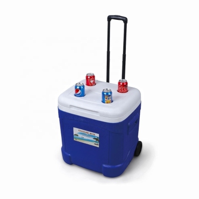 Lodówka sportowa na kołach 55 litrów