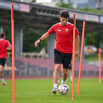 10x Trainings- und Slalomstöcke ELITE 33mm 170 cm Stöcke