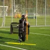 Телескопічна вбивна штанга для слалому | Yakimasport