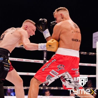 Boxerské rukavice TIGER Gold/Black V – řada PRO 2.0
