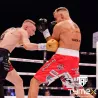 Bokser w złotych rękawicach bokserskich TIGER