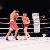 Boxerské rukavice TIGER Gold/Black V – séria PRO 2.0