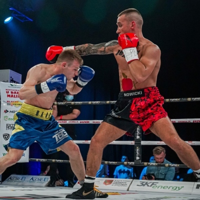 WOLF PRO SERIES bokszkesztyűk – Yakimasport