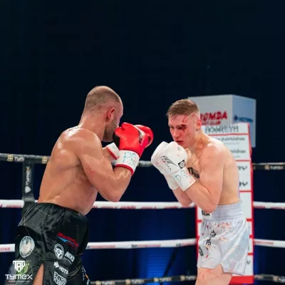 WOLF WHITE boxing gloves – PRO professional series