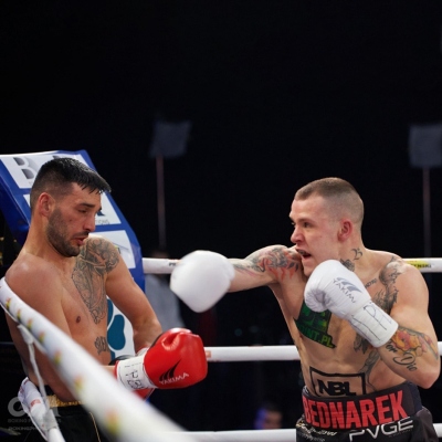 Boxerské rukavice WOLF WHITE – profesionální řada PRO