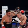 Боксерские перчатки WOLF WHITE — экипировка для боевых видов спорта