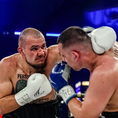 WOLF WHITE bokszkesztyű – harcművészeti felszerelés