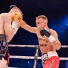 Mănuși de box TIGER – mănuși de box Yakimasport