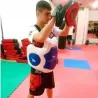 Chránič trupu pre trénerov – výstroj pre bojové športy