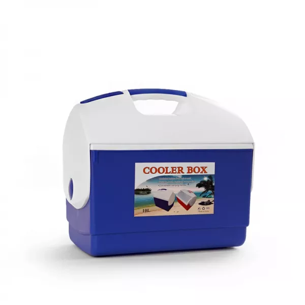 Lodówka przenośna, Coolling box 10 litrów