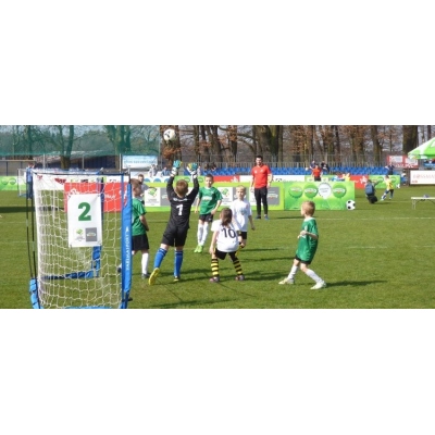 Складні ворота UNI ŻAK 3м x 1,55м | 300см x 155см