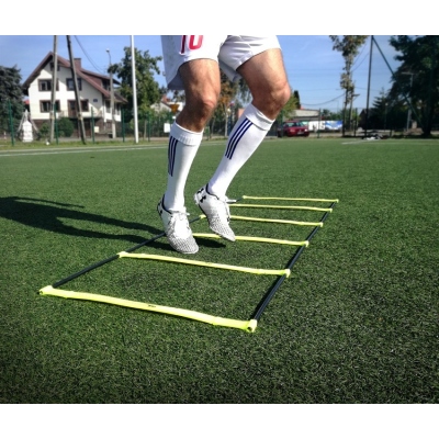 Coordination ladder, elevated 12 steps