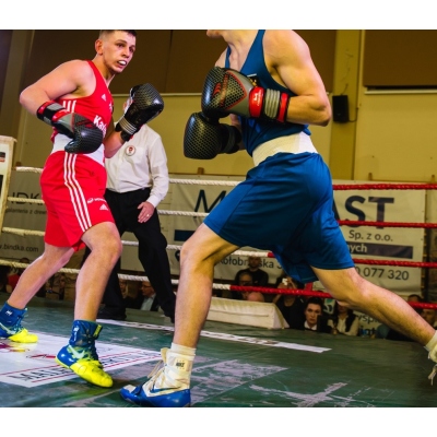 Boxing Gloves PRO SPIDER