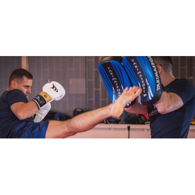 LION Boxhandschuhe